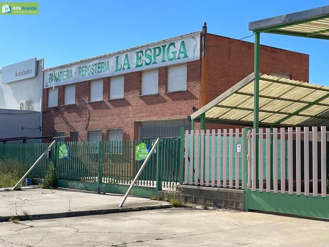 Nave industrial en Alquiler en Allendeduero