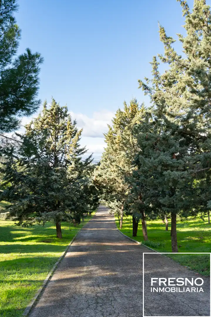 Garden of Houses for sale in Algete