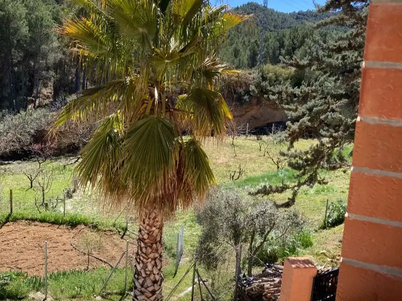 Piso de alquiler en Yeste, Albacete