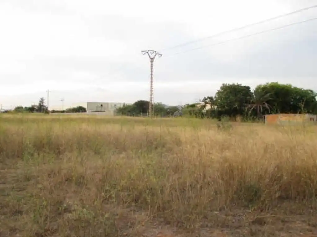 Terrenys i solars en venda a CL PL NUMERO 76 78(R) Suelo Polígono 76 Parcela 78 MARRADA, imagen 6