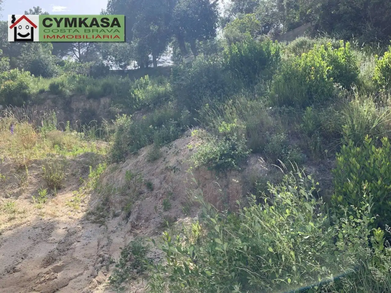 Terreno rustico in vendita a Montbarbat, imagen 4