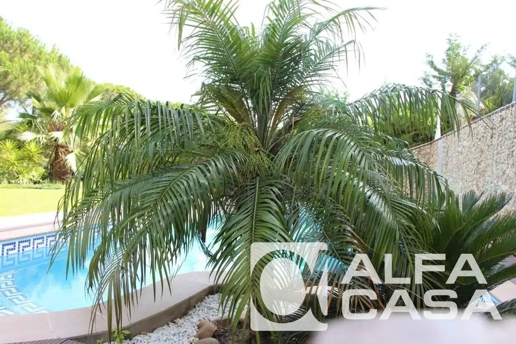 Villa avec terrasse à vendre à Centre, imagen 7