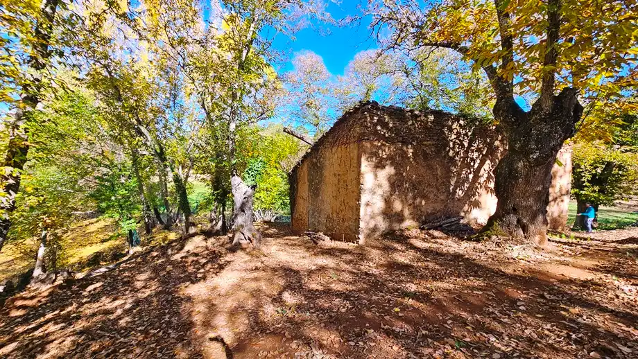 Terreni e lotti in vendita a Galaroza, imagen 17
