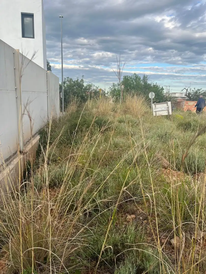 Residential land for sale in Betxí, imagen 7