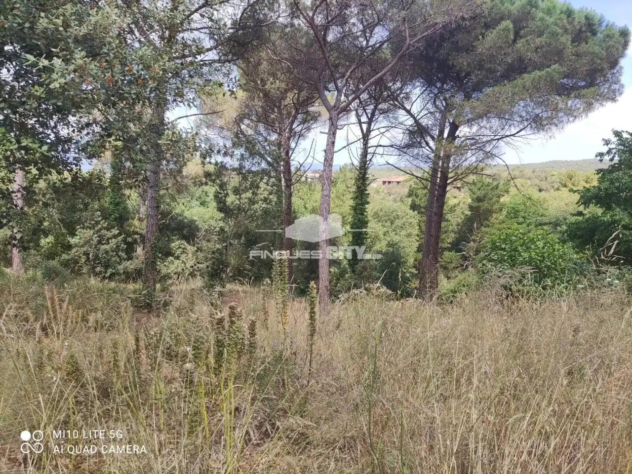 Terreno residencial en venta en Calle Nard, imagen 3