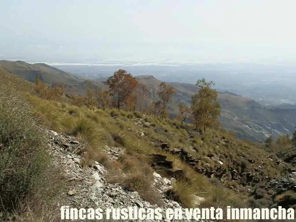 Terreny rústic en venda a Pechina, imagen 23
