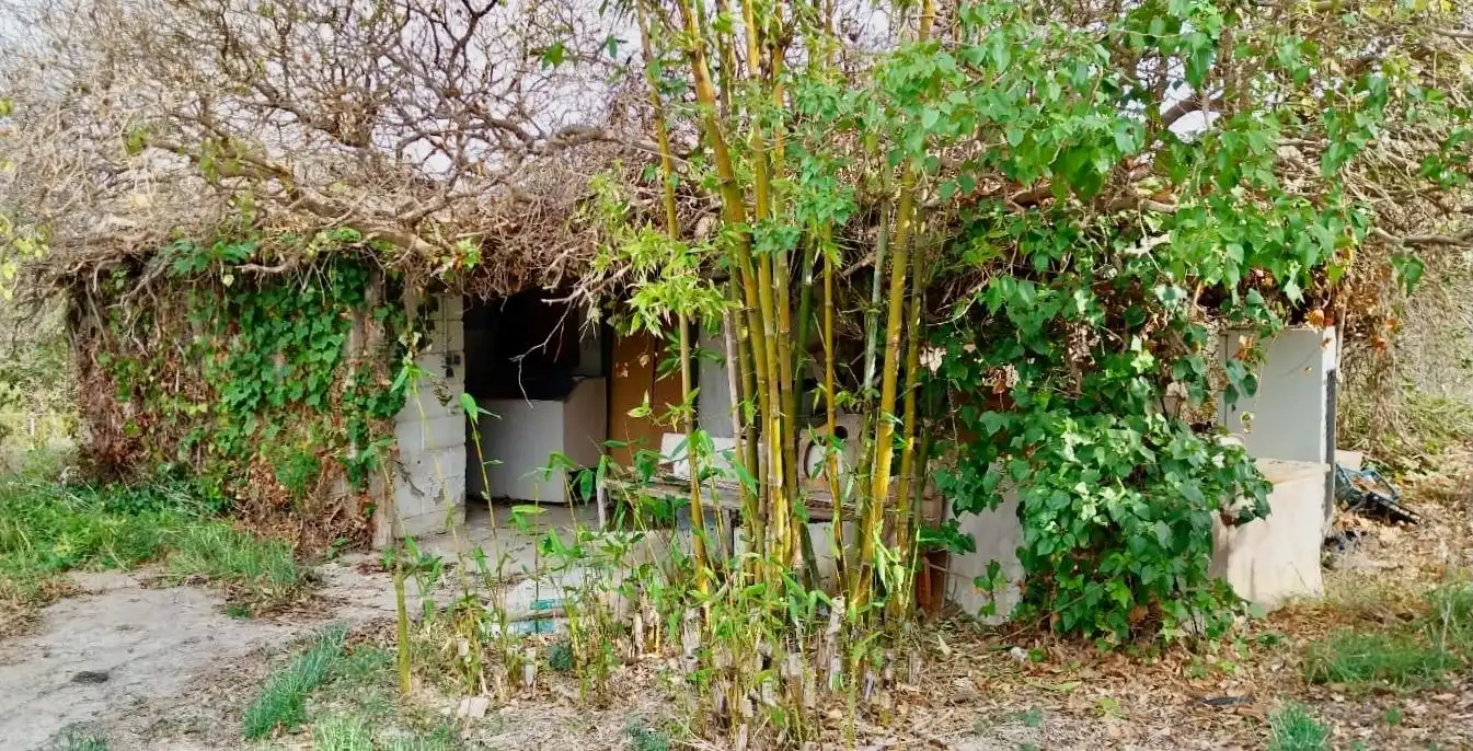 Terreno rustico in vendita a Platja de Torres, imagen 6
