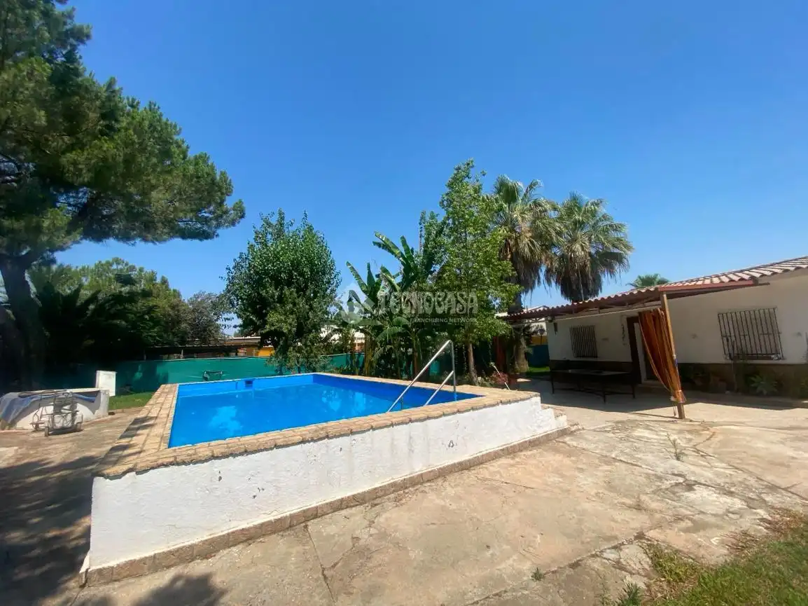 Swimming pool of Country homes for sale in Dos Hermanas