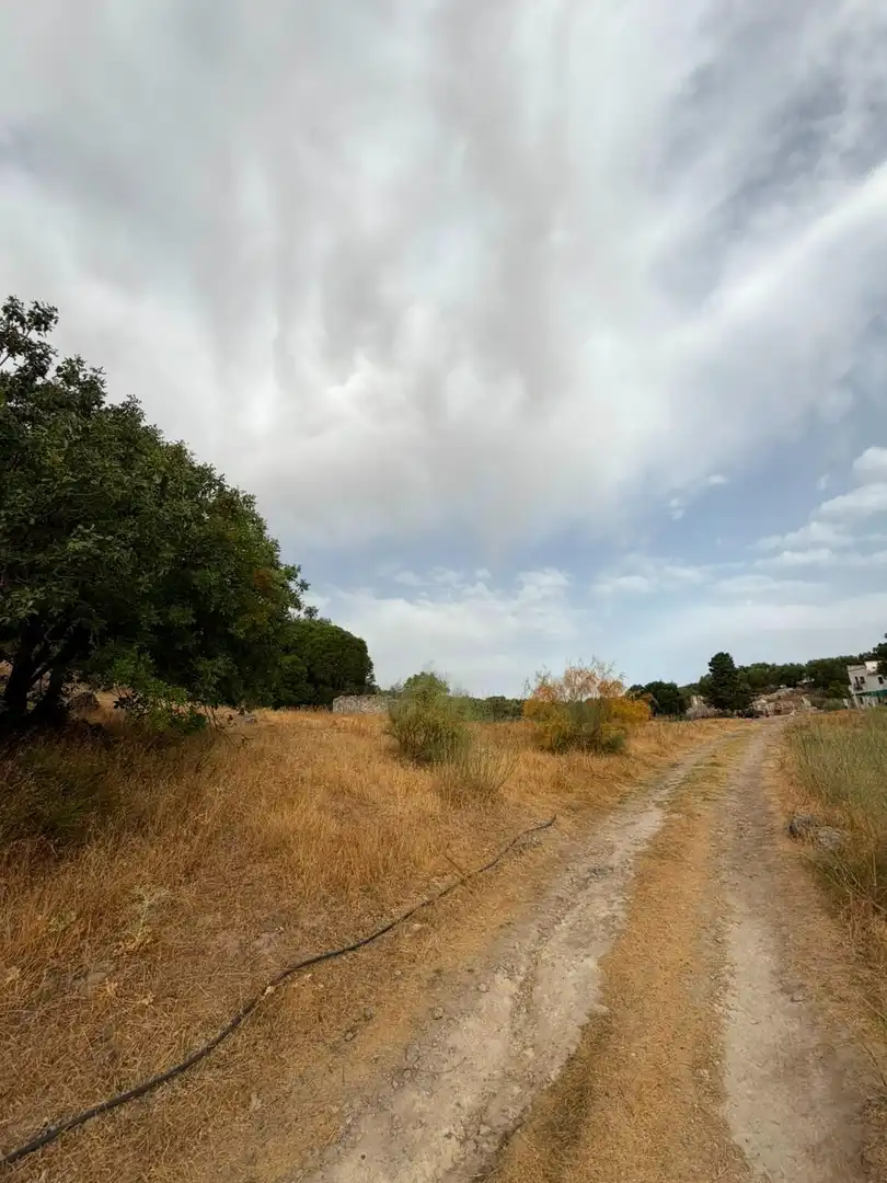 Rural land for sale in Morón de la Frontera, imagen 10