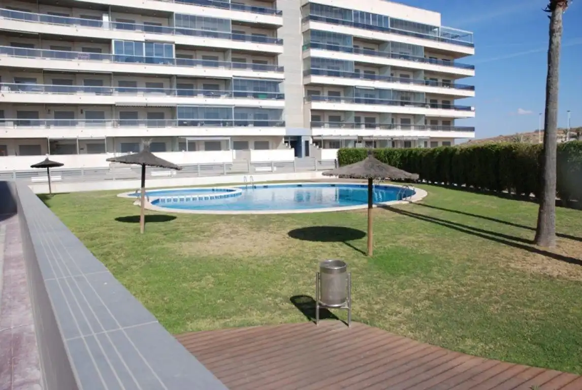 Swimming pool of Apartments for sale in Elche / Elx  with Air Conditioner, Heating and Private garden