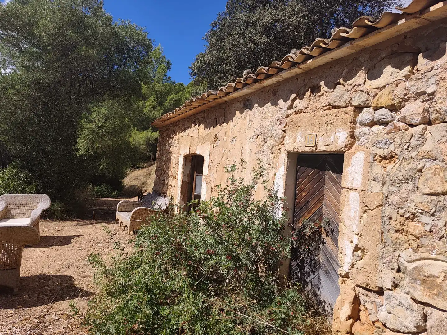 Terreny rústic en venda a Andratx pueblo