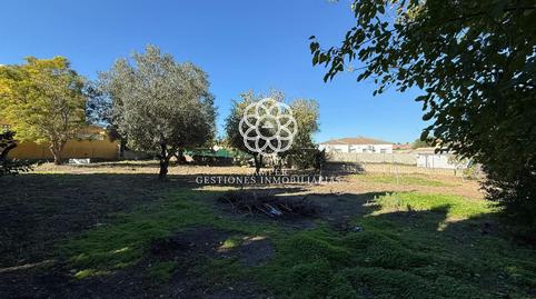 Photo 4 of Country house for sale in Carretera de Sanlúcar - Sudamérica, Cádiz