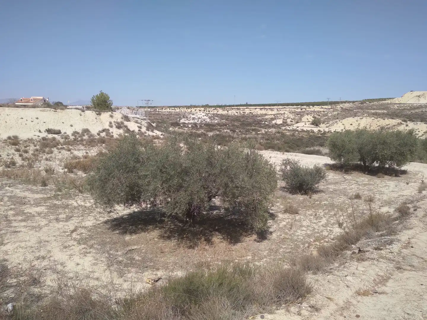 Terreni e lotti in vendita a Campos del Río, imagen 6