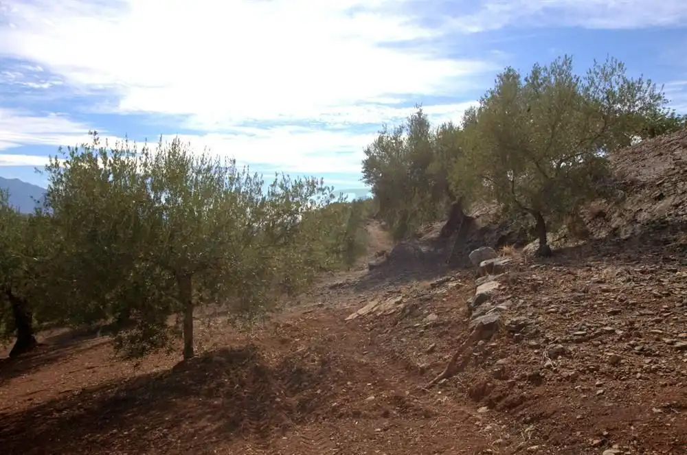 Terreno en venta en Cútar, Málaga