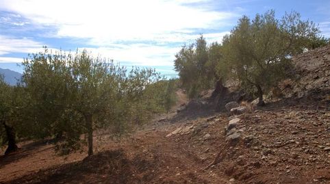Foto 3 von Grundstücke zum Verkauf in Cútar, Málaga