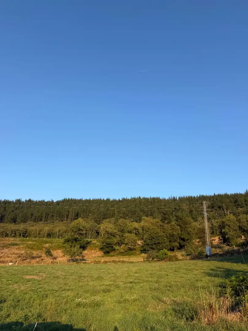 Rural land for sale in Tineo, imagen 17