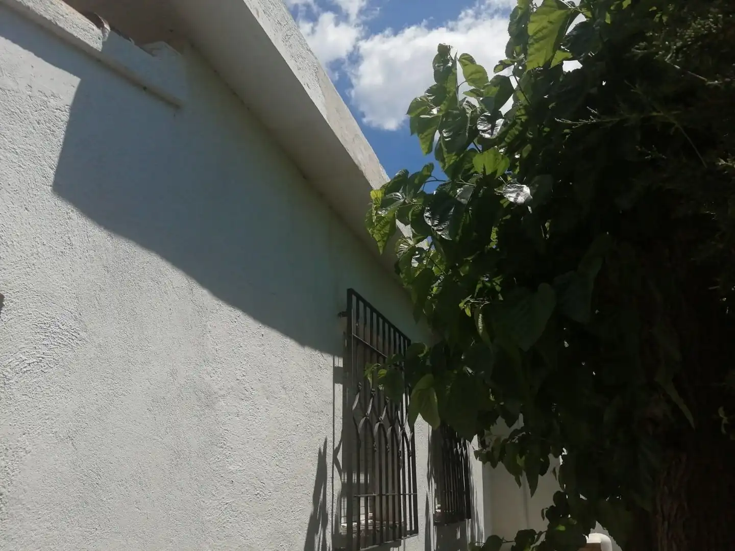 Chalet con piscina en venta en Port - Horta de Santa María, imagen 34