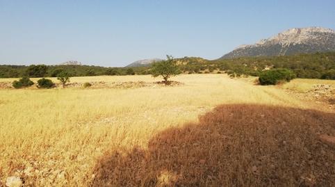 Foto 2 de Terreno en venta en  Aguica M Lorca, 80, Fontanares, Murcia