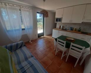 Kitchen of Apartment to share in  Barcelona Capital  with Air Conditioner and Terrace