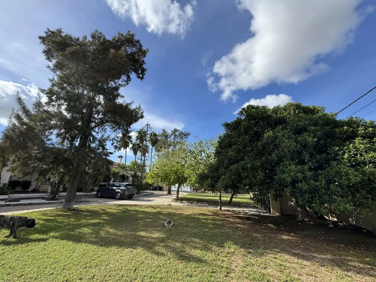 Vista exterior de Casa o xalet en venda en El Puerto de Santa María amb Jardí privat, Terrassa i Piscina