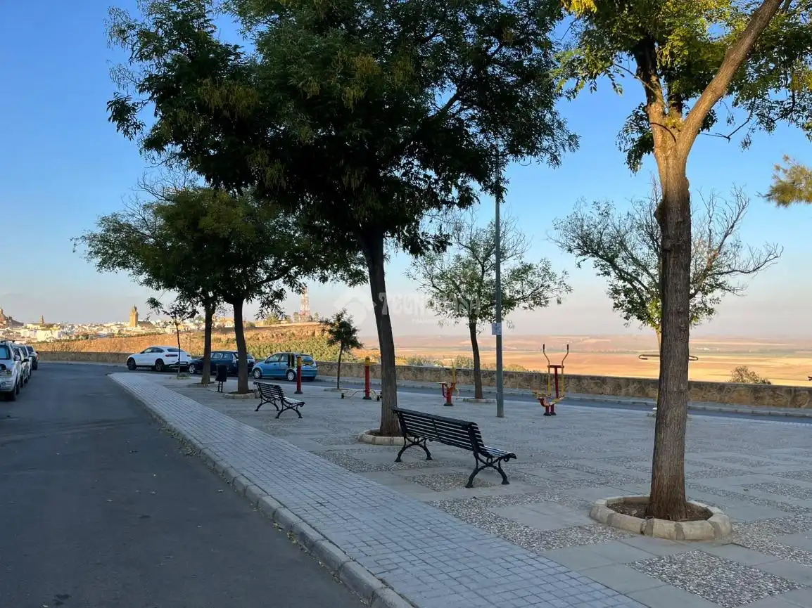 Vista exterior de Pis en venda en Carmona