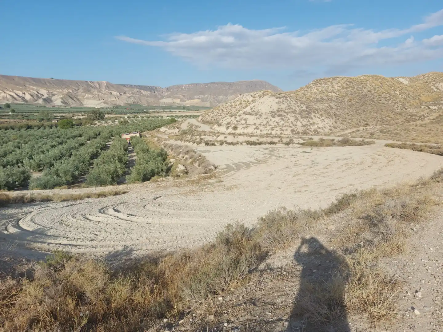 Terreno en venta en Alicún de Ortega