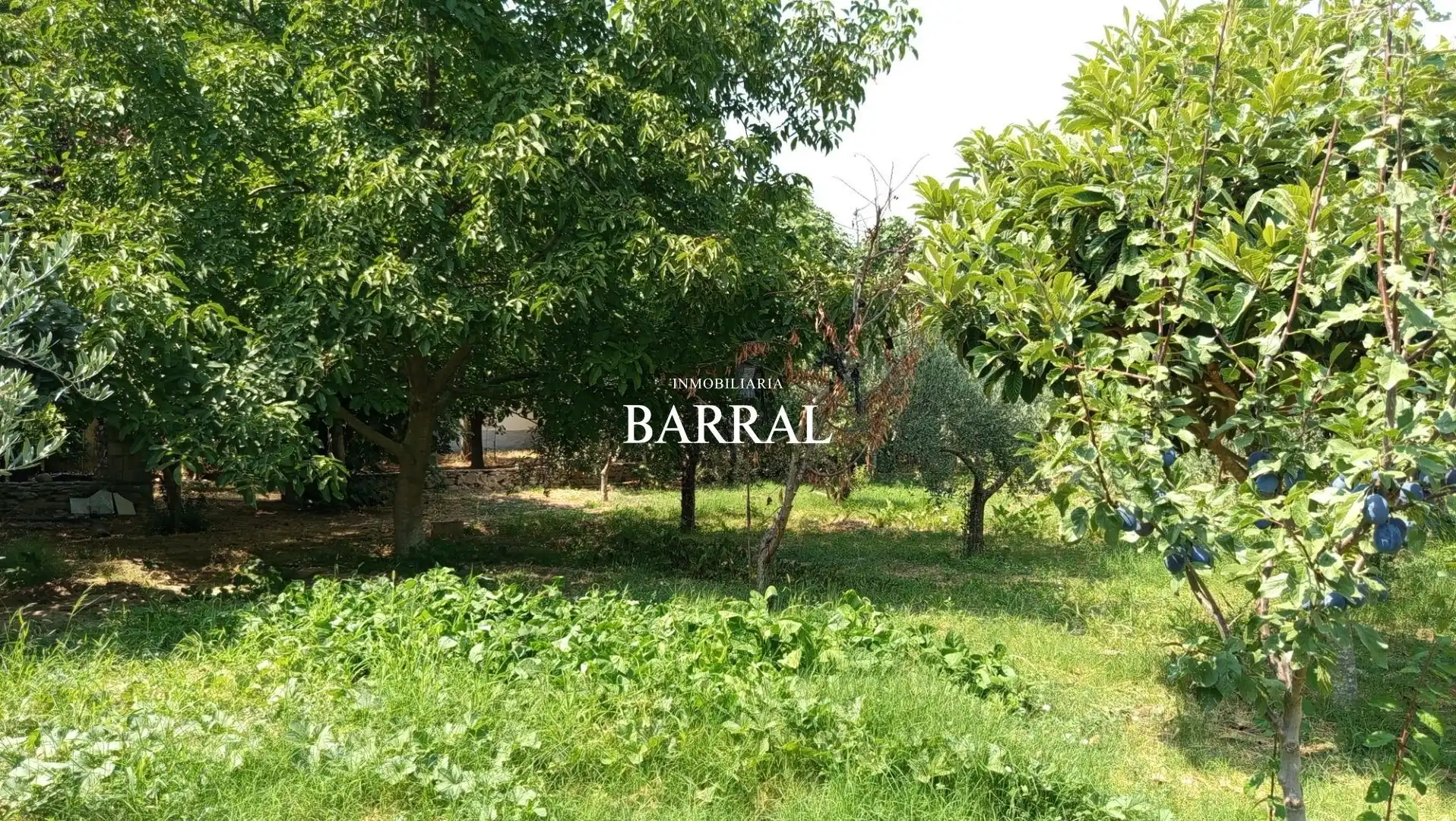 Casa o chalet en venta en Cascante, Navarra
