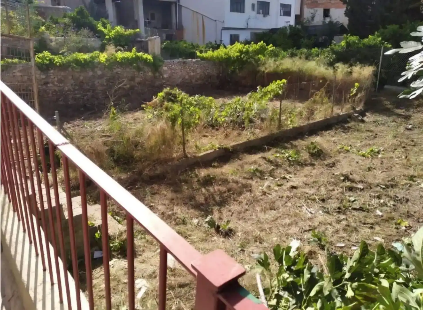 Finca rústica en venda en Abarán