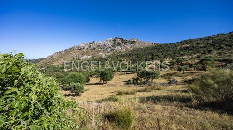 Foto 3 de Finca rústica en venda a Grazalema, Cádiz