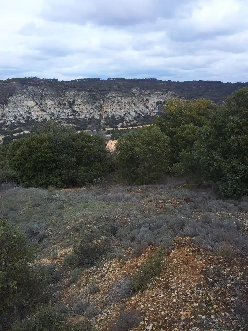 Terrenos y solares en venta en Hontoba, imagen 9