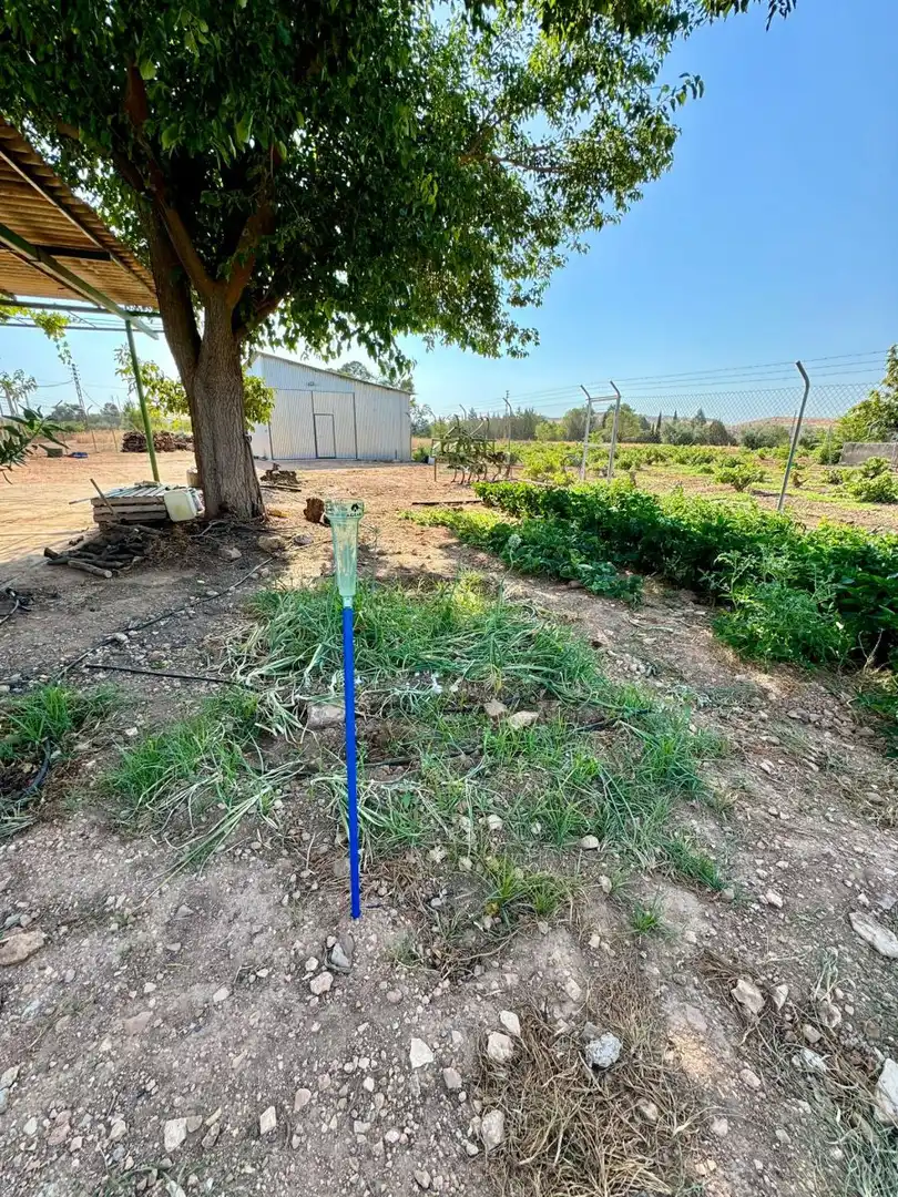 Casa rústica en venda a Valdepeñas, imagen 6
