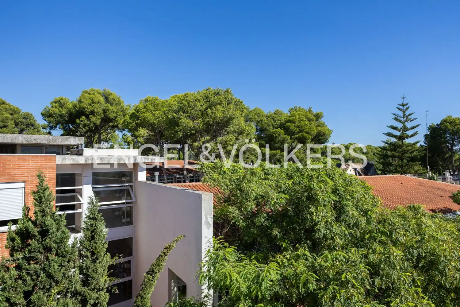 Attico con terrazza in vendita a Campolivar, imagen 36