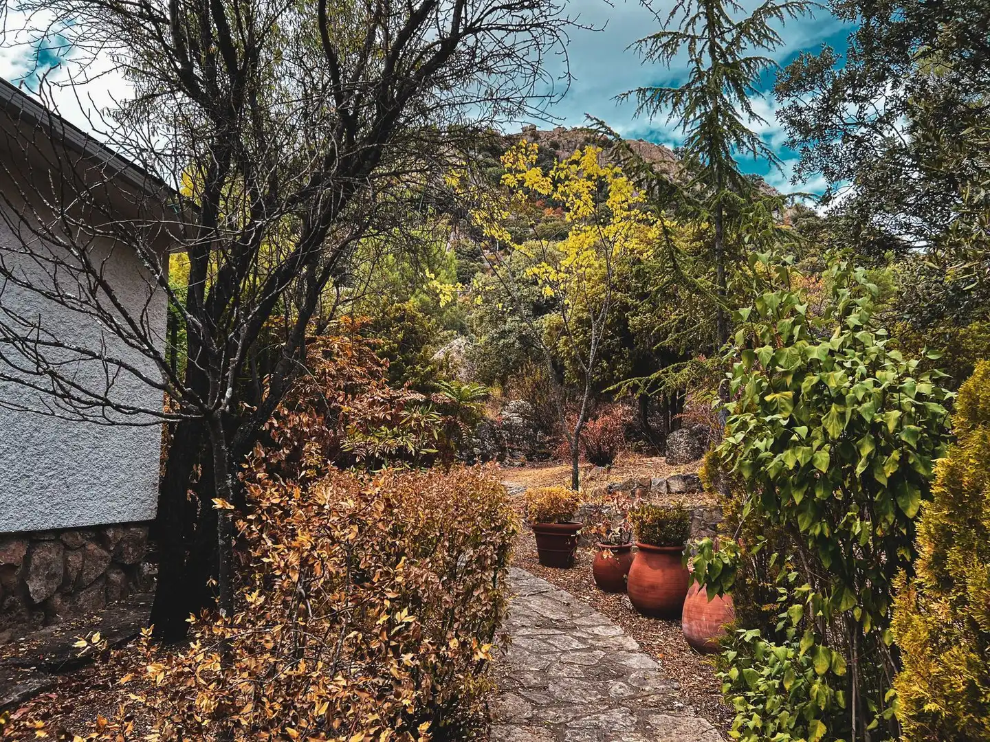 Jardí de Casa o xalet en venda en La Cabrera amb Jardí privat, Terrassa i Traster