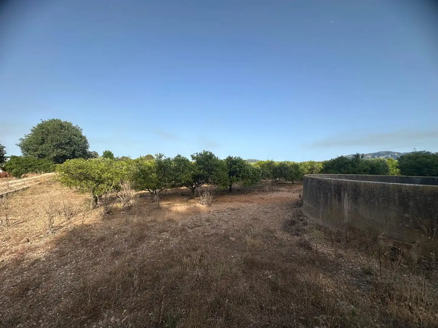 Rural land for sale in Masdenverge, imagen 19