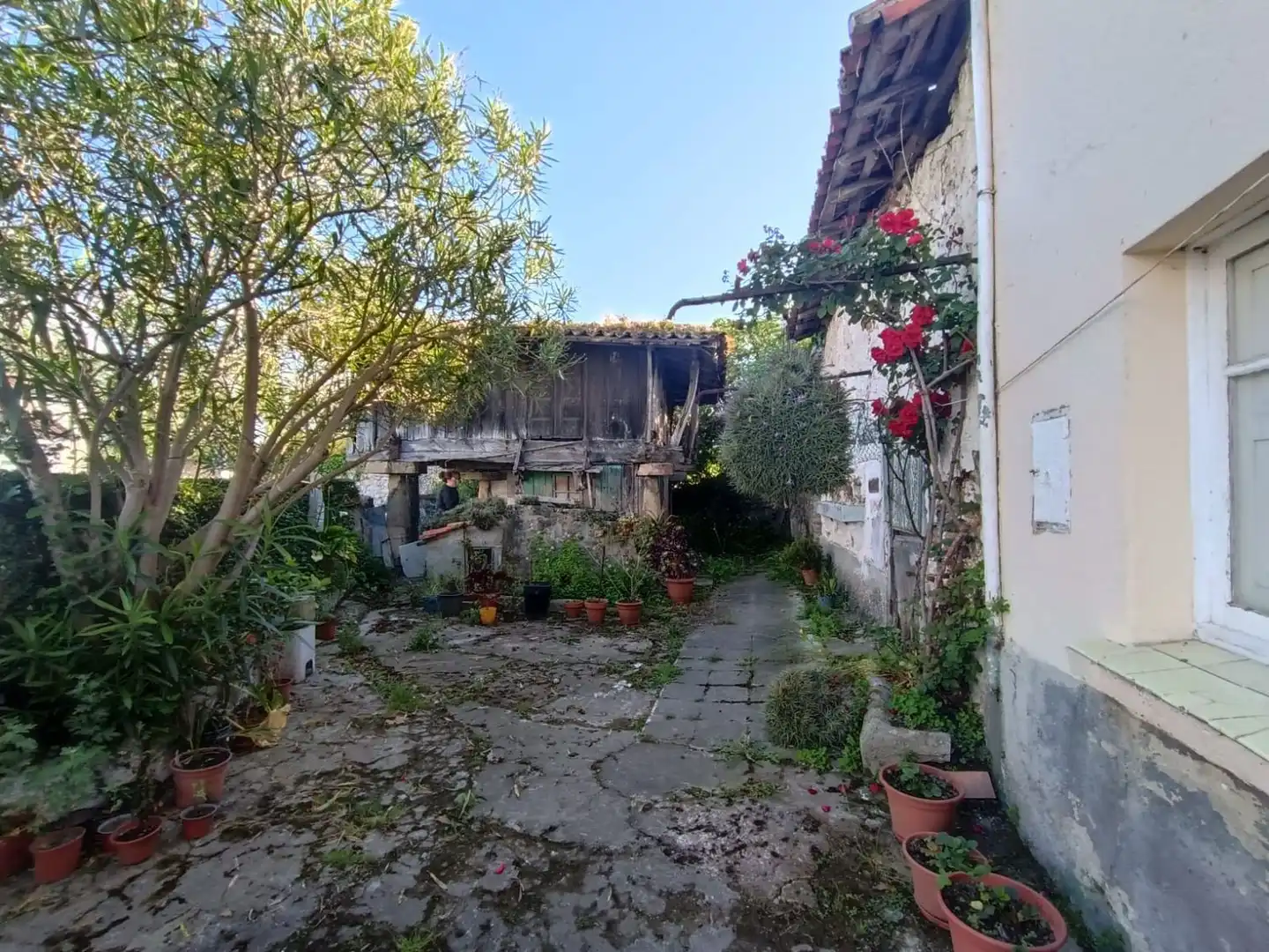 Vista exterior de Casa o chalet en venta en Castrillón con Trastero y Piscina