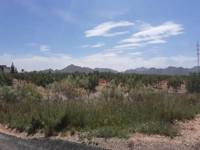 Terreno en venta en Fuente Álamo de Murcia