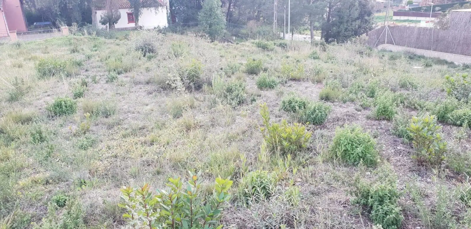 Terreny residencial en venda a Santa Coloma de Farners, imagen 6