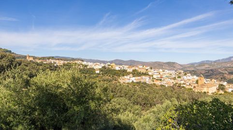 Oportunidad única! Dos Fincas rústicas de mas de 15.000 m2 en total en Pinos del Valle. VENTA JUNTAS O SEPARADAS, immagine 3