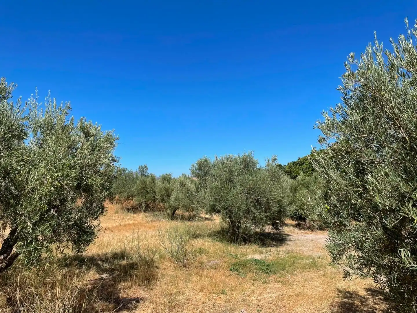 Terreno en venta en Almargen