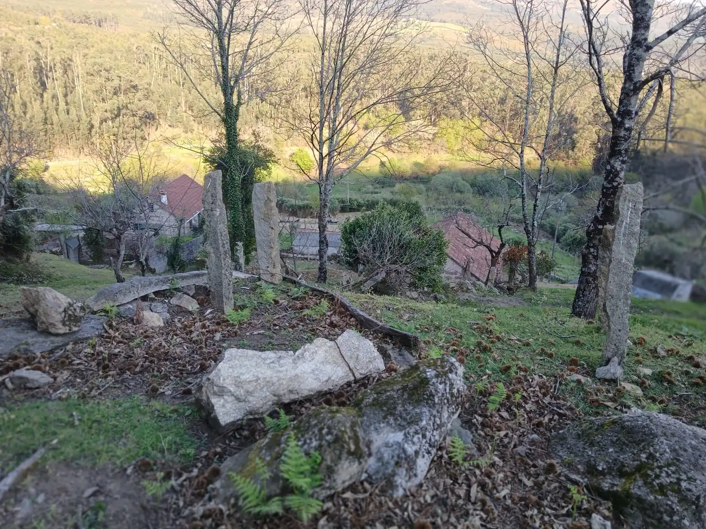 Casa o chalet en venta en As Neves   con Jardín privado