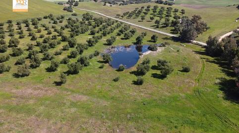 Photo 3 of Country house for sale in  Zona de Cadiz, Astilleros - La Paz  - Loreto - El Corte Inglés,  Cádiz Capital