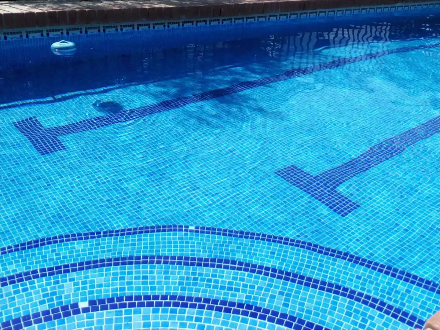 Piscina de Casa o xalet en venda en Escalona, Toledo