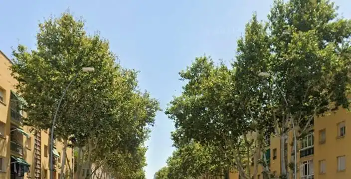 Vista exterior de Pis en venda en El Prat de Llobregat amb Balcó