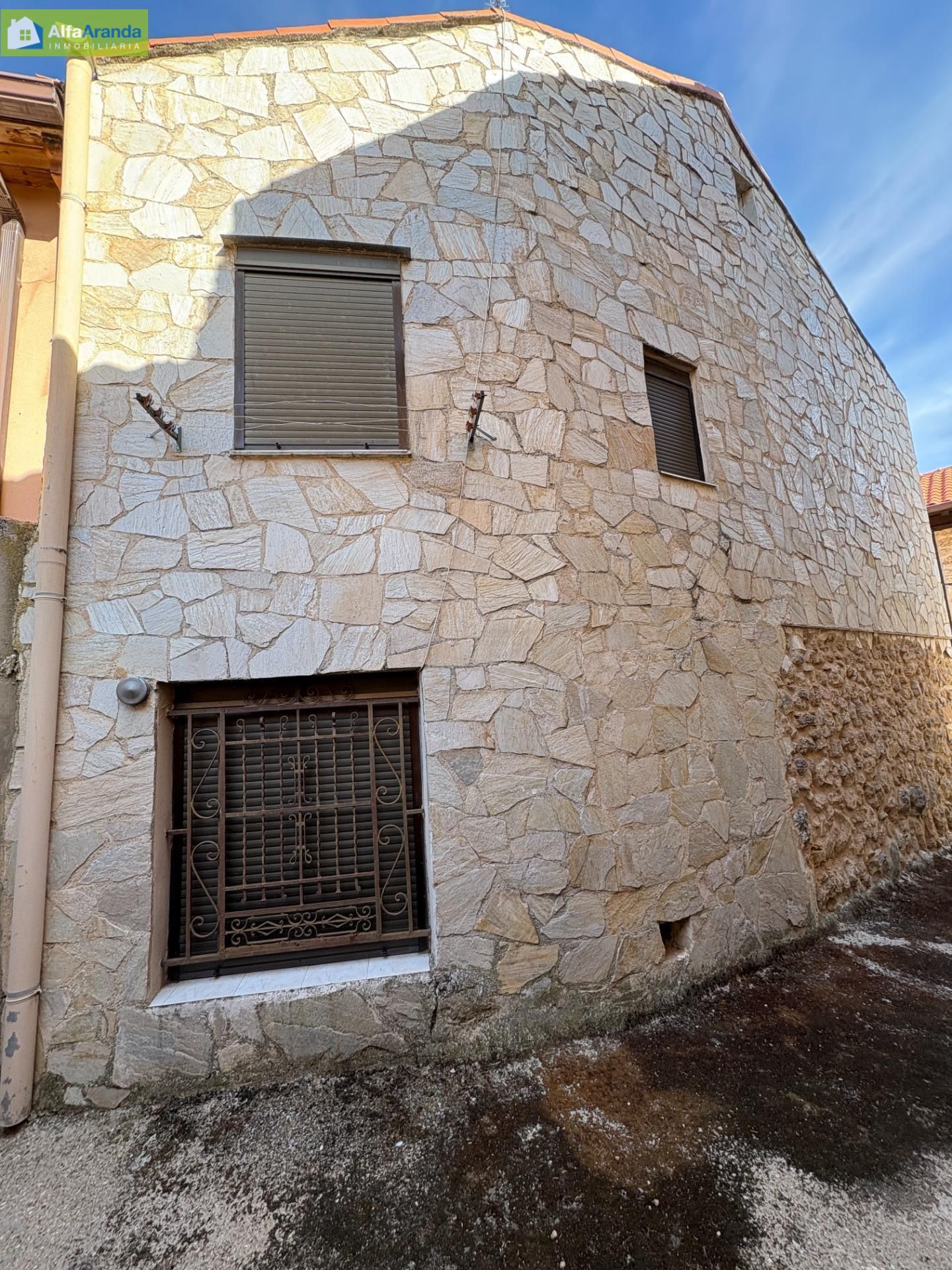 Vista exterior de Finca rústica en venta en Gumiel de Izán