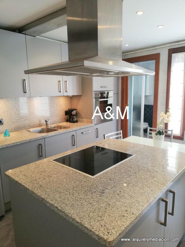 Cuina de Apartament de lloguer en Vitoria - Gasteiz amb Calefacció i Moblat