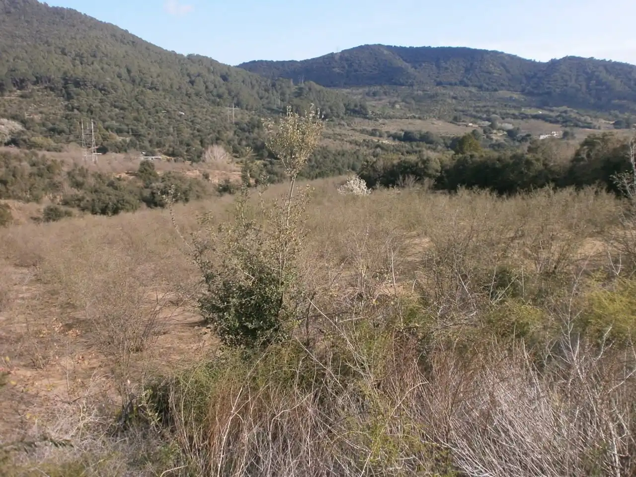 Land for sale in Vilaplana, Tarragona