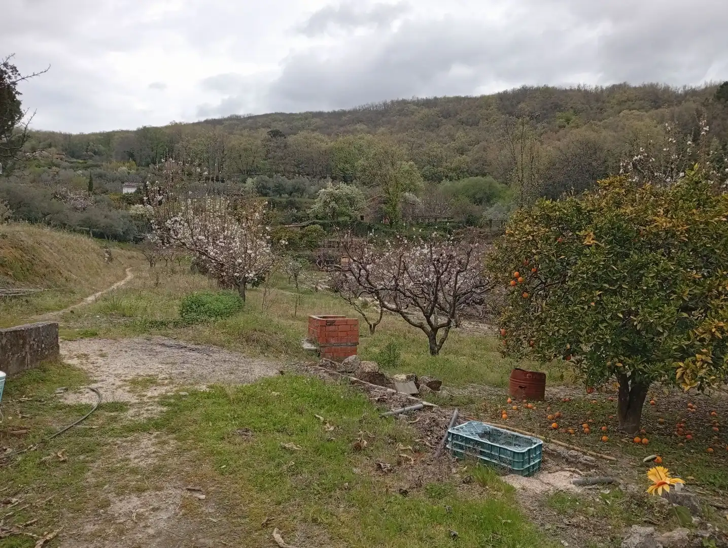 Terreni e lotti in vendita a Villanueva de la Vera, imagen 19
