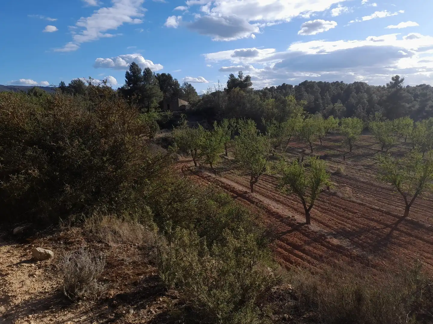 Terreno en venta en El Vilosell