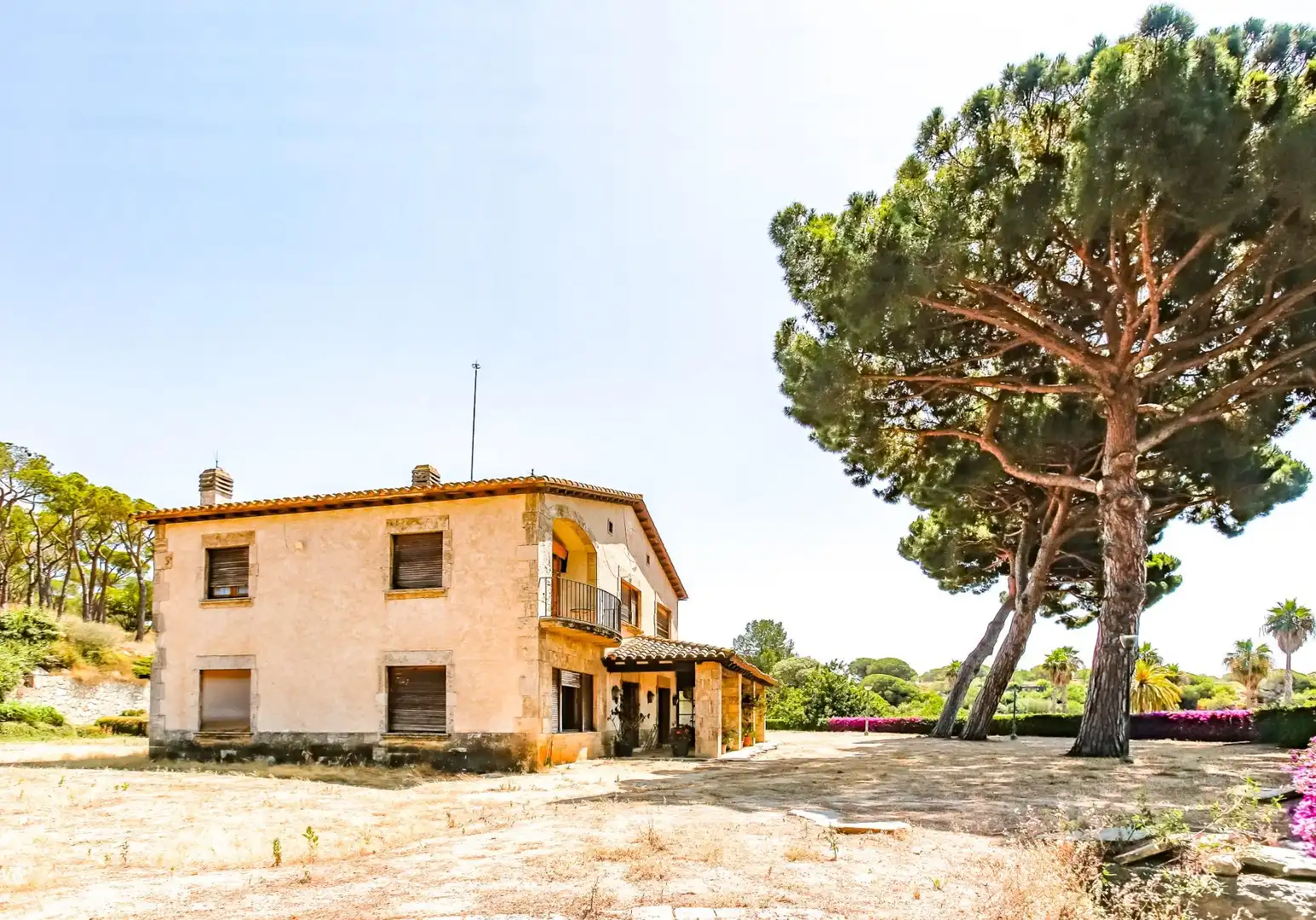 Finca rústica en venda a Carretera Carretera de la Mata, 76, El Palau - Escorxador