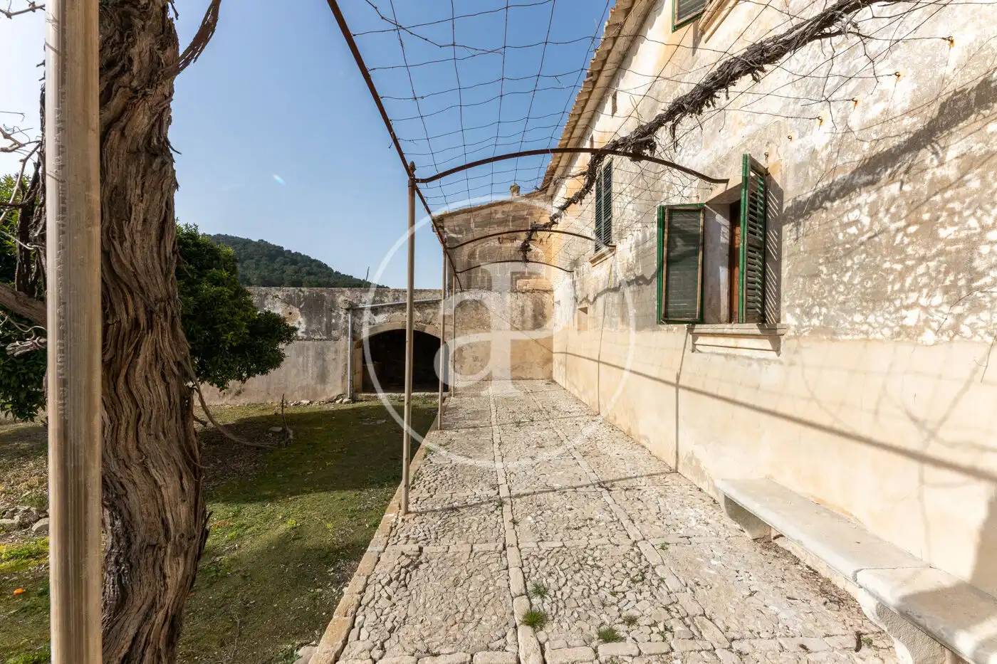 Vista exterior de Finca rústica en venta en Archena con Calefacción, Jardín privado y Terraza